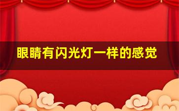 眼睛有闪光灯一样的感觉