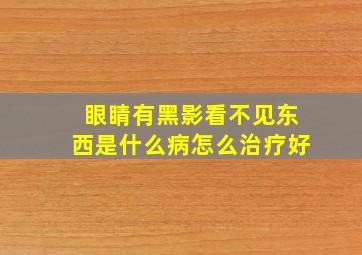 眼睛有黑影看不见东西是什么病怎么治疗好