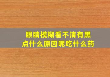 眼睛模糊看不清有黑点什么原因呢吃什么药