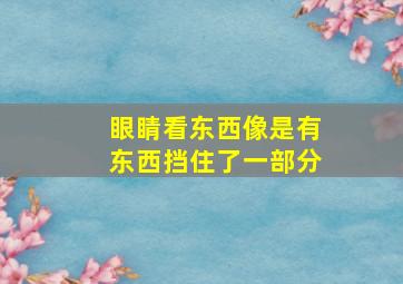 眼睛看东西像是有东西挡住了一部分