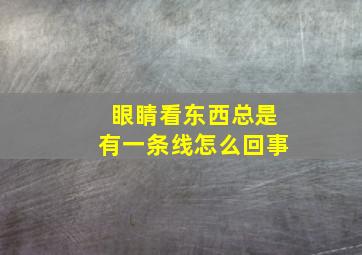 眼睛看东西总是有一条线怎么回事