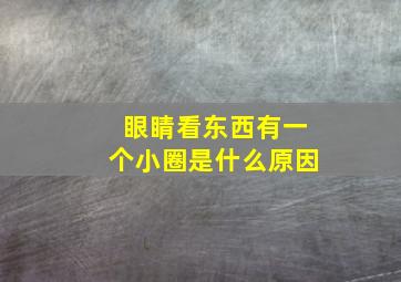 眼睛看东西有一个小圈是什么原因