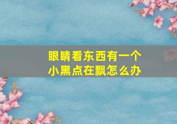 眼睛看东西有一个小黑点在飘怎么办