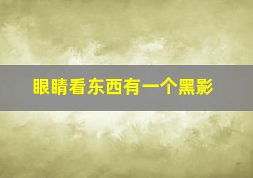 眼睛看东西有一个黑影