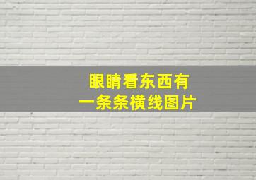 眼睛看东西有一条条横线图片