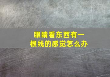 眼睛看东西有一根线的感觉怎么办