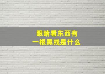 眼睛看东西有一根黑线是什么