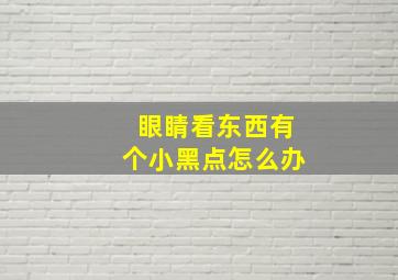 眼睛看东西有个小黑点怎么办