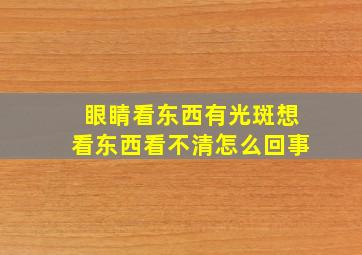 眼睛看东西有光斑想看东西看不清怎么回事