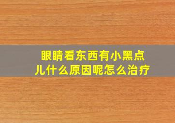 眼睛看东西有小黑点儿什么原因呢怎么治疗