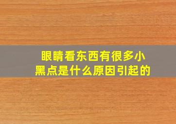 眼睛看东西有很多小黑点是什么原因引起的