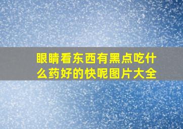 眼睛看东西有黑点吃什么药好的快呢图片大全