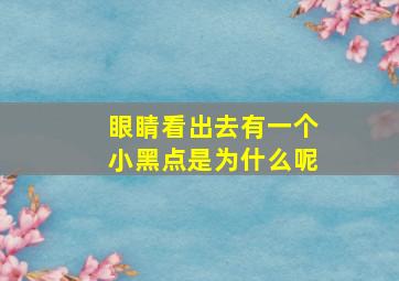 眼睛看出去有一个小黑点是为什么呢