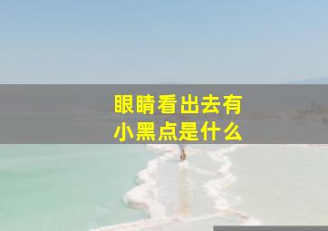 眼睛看出去有小黑点是什么