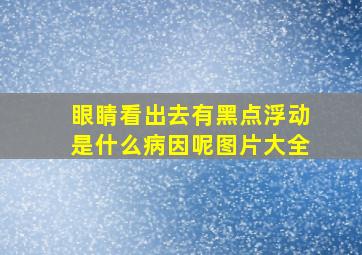 眼睛看出去有黑点浮动是什么病因呢图片大全