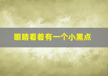 眼睛看着有一个小黑点