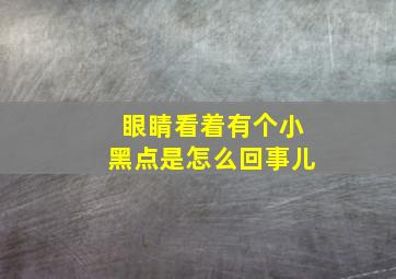 眼睛看着有个小黑点是怎么回事儿