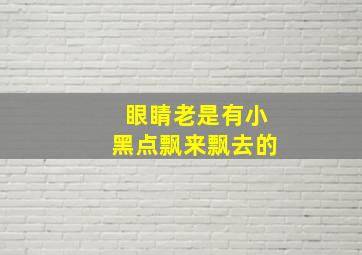 眼睛老是有小黑点飘来飘去的