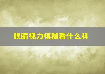 眼睛视力模糊看什么科