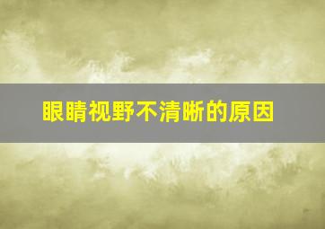 眼睛视野不清晰的原因