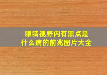 眼睛视野内有黑点是什么病的前兆图片大全