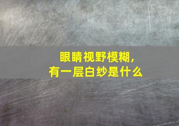 眼睛视野模糊,有一层白纱是什么