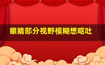 眼睛部分视野模糊想呕吐