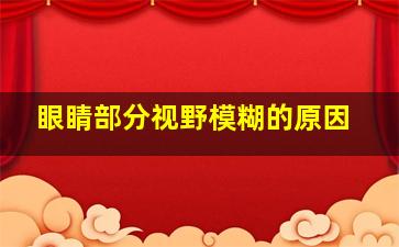 眼睛部分视野模糊的原因