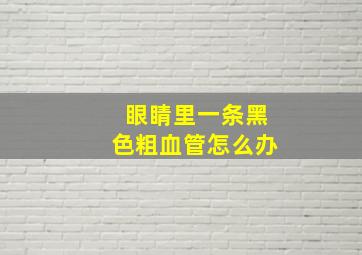 眼睛里一条黑色粗血管怎么办