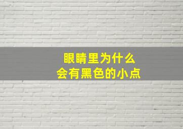 眼睛里为什么会有黑色的小点