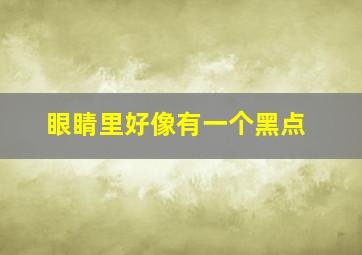 眼睛里好像有一个黑点