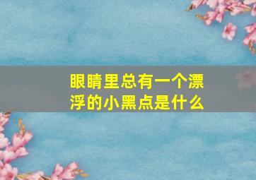 眼睛里总有一个漂浮的小黑点是什么