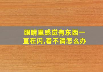 眼睛里感觉有东西一直在闪,看不清怎么办