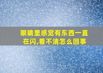 眼睛里感觉有东西一直在闪,看不清怎么回事