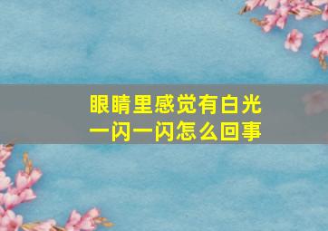 眼睛里感觉有白光一闪一闪怎么回事