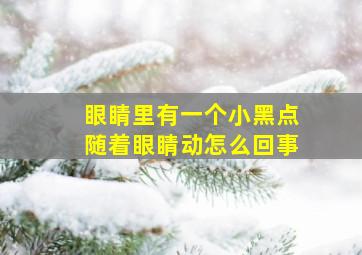 眼睛里有一个小黑点随着眼睛动怎么回事