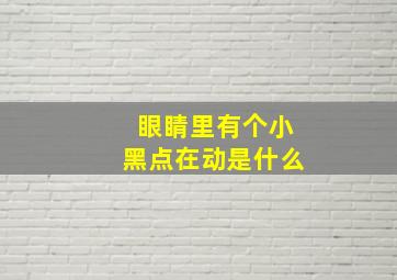 眼睛里有个小黑点在动是什么