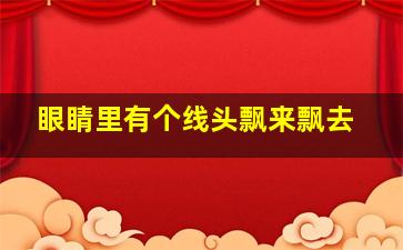 眼睛里有个线头飘来飘去