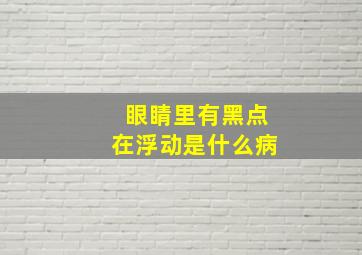 眼睛里有黑点在浮动是什么病