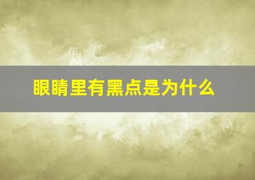 眼睛里有黑点是为什么