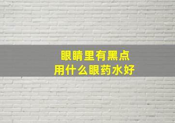 眼睛里有黑点用什么眼药水好