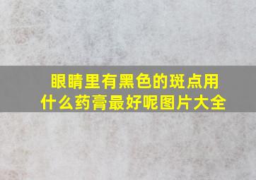 眼睛里有黑色的斑点用什么药膏最好呢图片大全