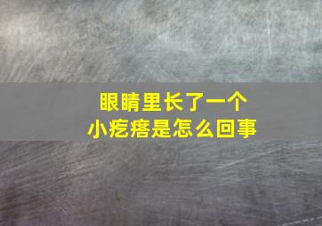 眼睛里长了一个小疙瘩是怎么回事