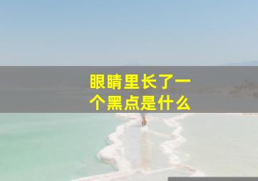 眼睛里长了一个黑点是什么