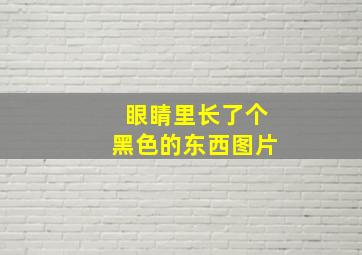 眼睛里长了个黑色的东西图片