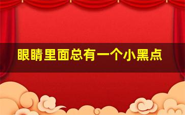 眼睛里面总有一个小黑点