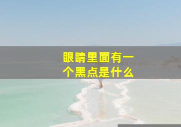 眼睛里面有一个黑点是什么