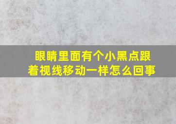 眼睛里面有个小黑点跟着视线移动一样怎么回事