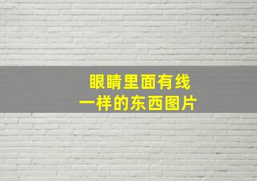 眼睛里面有线一样的东西图片