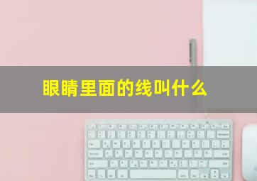 眼睛里面的线叫什么